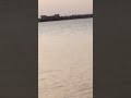 SUNRISE #satisfying #asmr #nature #floriedm #viral #shorts