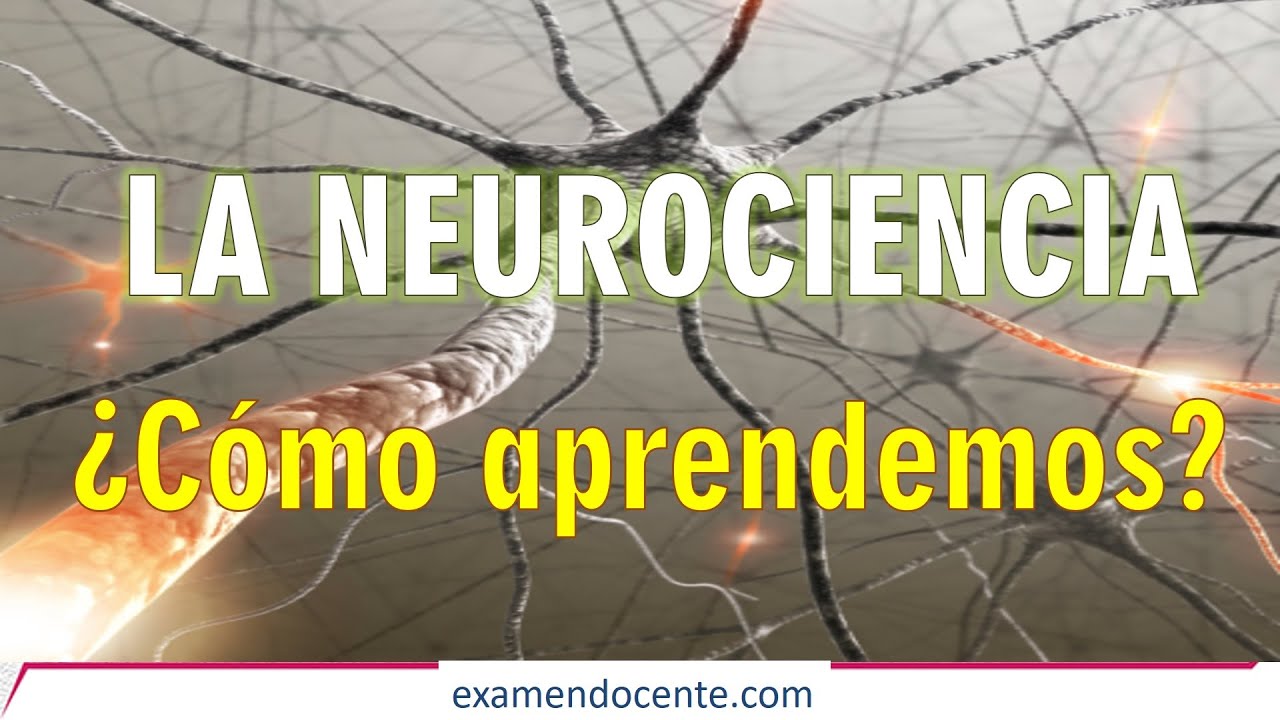 NEUROCIENCIA Y EDUCACIÓN - examen docente