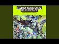 Miniature de la vidéo de la chanson Scheherazade, Op. 35: Festival At Bagdad, The Sea, The Shipwreck Against A Rock Surmounted By A Bronze Warrior (The Shipwreck)