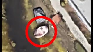 Strange Things Found On Google Map