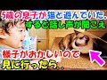 ５歳の息子が飼猫と寝室で遊んでいた。すると話し声が聞こえ、様子がおかしいので見に行ったら..!?【猫の不思議な話】【朗読】