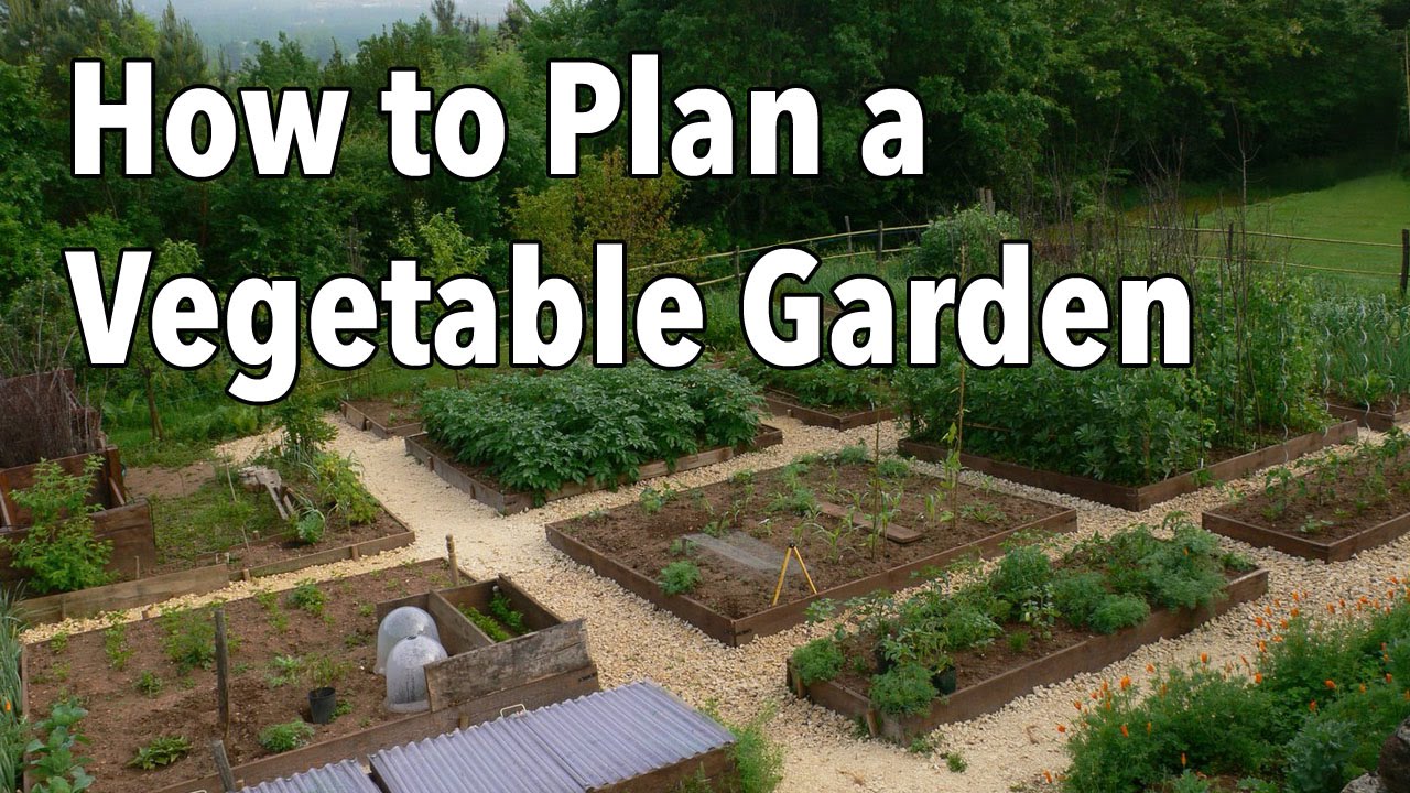 Vegetable Garden Layout