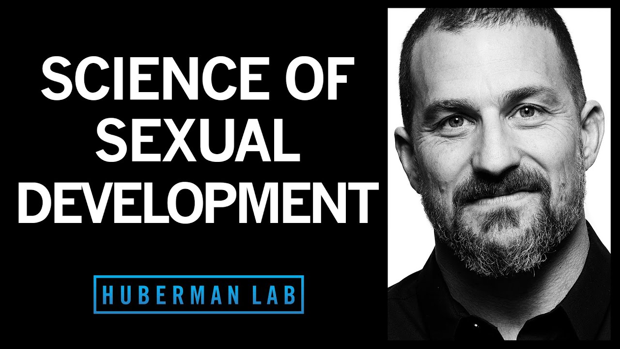 Biological Influences On Sex, Sex Differences & Preferences