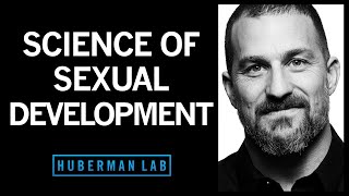 Biological Influences On Sex, Sex Differences & Preferences | Huberman Lab Podcast #14