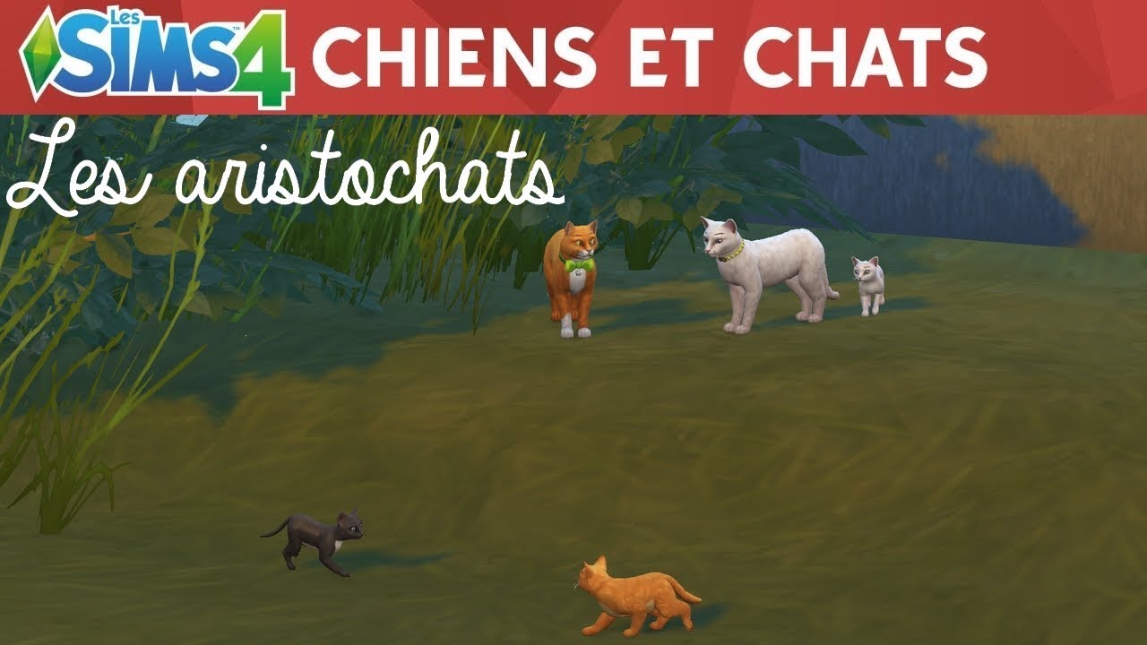 CRÉATION LES ARISTOCHATS - Les Sims 4 Chiens et Chats - YouTube