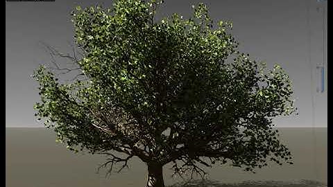 Realistic tree - speedtree.