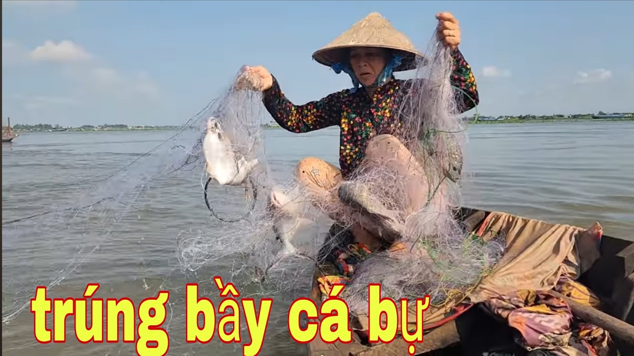 Quá Hên Thăm Lưới Trúng Bầy Cá Da Trơn Gỡ Đã Tay Luôn # SĂN BẮT ĐỒNG THÁP #