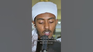 الشيخ عفيف محمد تاج .سورة يوسف