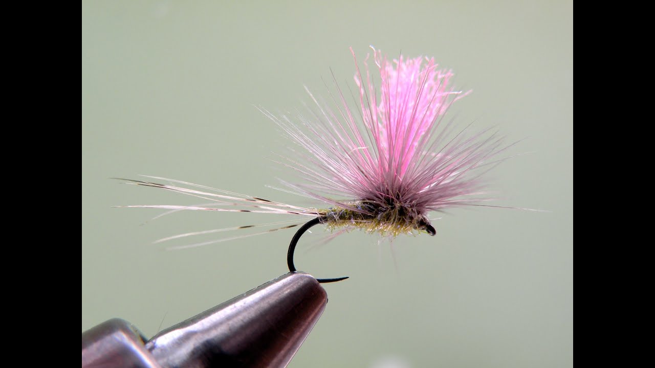 Iron Blue dun Paraloop with Post