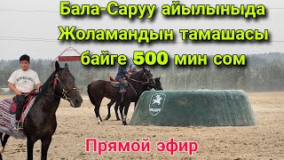 картинка: Жоламан Шаршанбеков той берип жатат байге той ээсинен 500 мин сом Бала-Саруу айылы