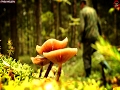Ложные опята, которые все считают ядовитыми -  отличные съедобные грибы, www.grib.tv