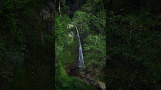 One of the beautiful waterfall in Indonesia ?? ?Tiu Teja Waterfall
