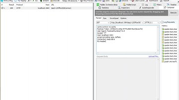 Fiddler Composer - replay and edit request