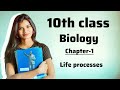 10th class Biology first lesson life processes | 10th class biology | biology first lesson