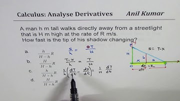 Related Rate of Change of Shadow Tip Length Calculus