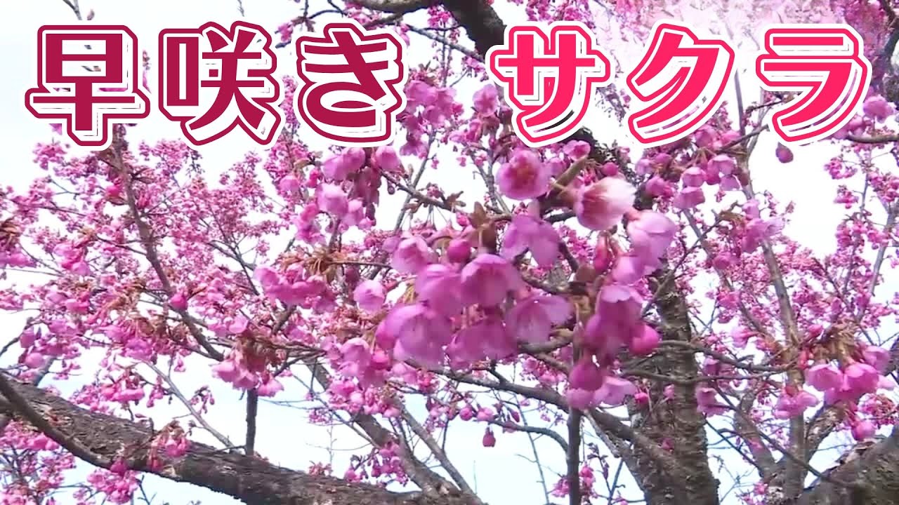 The beginning of spring, one of the 24 solar terms, is the best