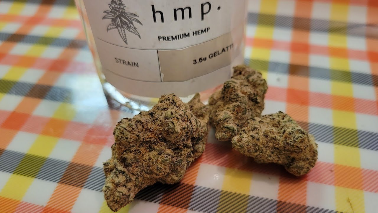 hmp THCA Gelatti Strain Review 🔥🍊⛽️🍎🔥