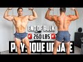 Honest physique update peak bulk  260 lb bw  2024 prep plans