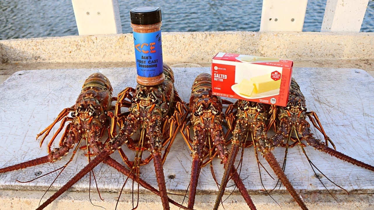 Catching Lobster By Hand And Grilling 'Em With Butter!