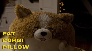 Fat Corgi Pollow
