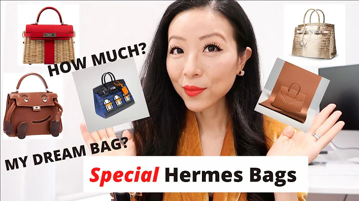 BEST LIMITED EDITION HERMES BAGS| Hermes mini picnic Kelly, Himalaya Birkin with price details