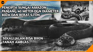 The Mystery of the Giant Anaconda: Sucuriju Gigante, the Legendary Snake That Created the Amazon ...