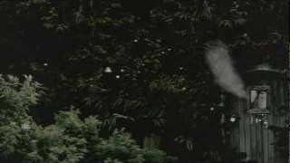 Ambient Content "Forest" - Featuring Tycho "Past is Prologue"