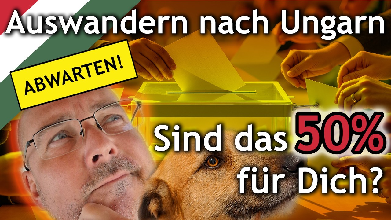 Auswandern nach Ungarn - Sind das 50% für Dich? #ungarn #fidesz #tisza