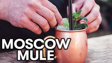 How to Make a Moscow Mule (Easiest Cocktail Ever)