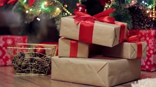 Harvesting Hope During The Holidays