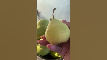 Sweet Pears #short #shorts #simplyshinelv #newharvest