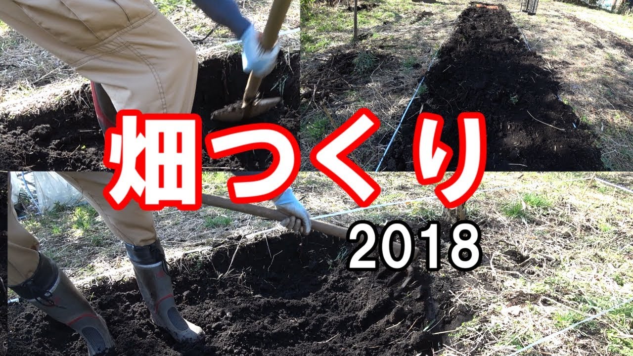 畑作り18 笹の根がネック 菜園をつくろう開墾編 5 Youtube 畑作り18 笹の根がネック 菜園をつくろう開墾編 5 Youtube