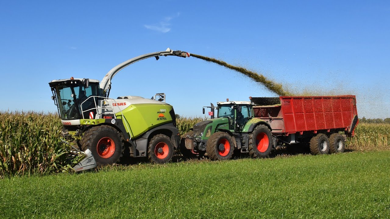 Claas Jaguar 950-type 498 - Claeys Agri - mais hakselen