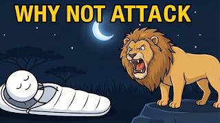 Why Predators Ignore Sleeping Humans