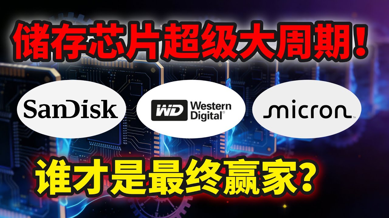 储存芯片超级大周期，这三家公司，到底谁才是最终赢家呢？#mu #sndk #wdc 