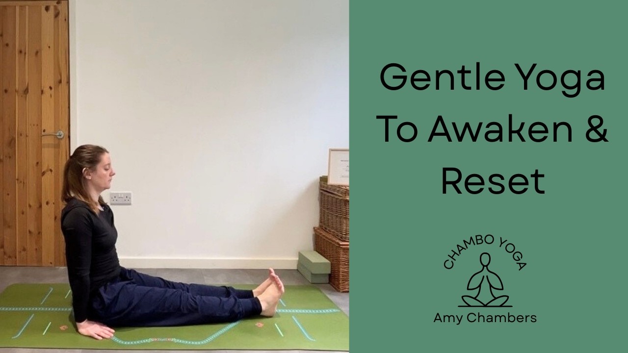 20 Minute Gentle Yoga to Awaken & Reset | Beginner Friendly Flow
