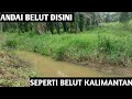 Mancing belut kali ini ukuran nya kecil kecil  - eel Fishing