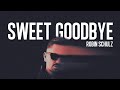 Robin Schulz Sweet Goodbye Official Audio Robin Schulz Sweet Goodbye Official Audio