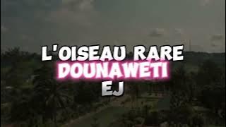 L'OISEAU RARE feat EJ ZANETTI (CLIP VISUALISEZ) officiel