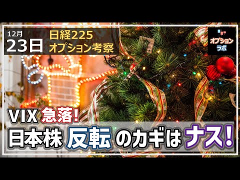 【日経225オプション考察】12/23 NY株下落の流れでVIXは急落に! 日経平均が反発するカギはナスダック!