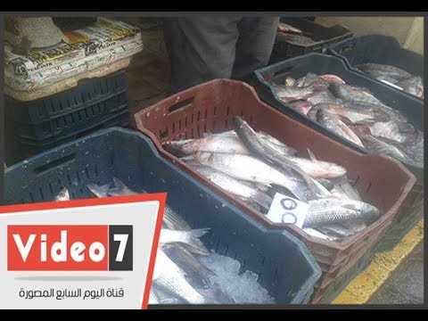 ارتفاع أسعار الأسماك بأسواق دمياط وسط عزوف المواطنين عن الشراء