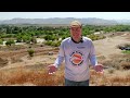 Hang Gliding versus Paragliding
