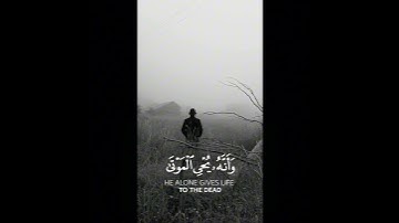 ياسر الدوسري 🌷#تلاوه_هادئه_تريح_الاعصاب #ايات_قرانيه_قصيره #فلسطين