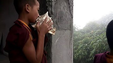 A sikkimese monk blowing conch shell