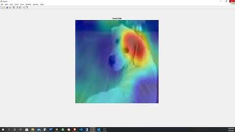 Visualización de CNN (deep learning) en MATLAB usando sensibilidad de oclusión y Grad-CAM