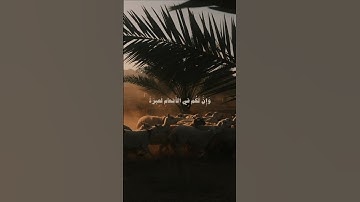 ﴿وإن لكم في الأنعام لعبرة﴾ | سورة النحل | الشيخ ياسر الدوسري