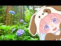 ひぐらしの大合唱 / 柚葉 Yuzuha【オリジナル】Nature Sounds Babbling Brook Sounds　#naturesounds　#自然音