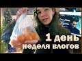 новогодняя неделя влогов: 1 день