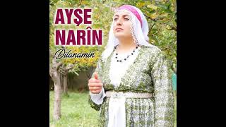 Ayşe Narin - Dilanamin