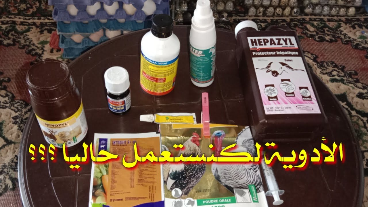 الأدوية الضرورية للوقاية من أمراض الدجاج و الثمن ديالها
